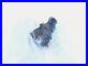 1986-1990 Harley Davidson XLH Sportster 883 1100 & 1200 S&S Carb Carburetor